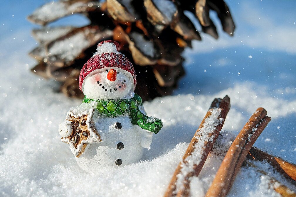 Schneemann mit Tannenzapfen